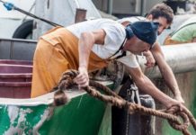 Ancona: Arriva il pesce…. Le foto di Rosella Centanni. foto Rosella Centanni