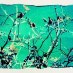 Cammino lento su un filare di nebbia. E arriva l’alba – di Rosella Centanni bacche rosse