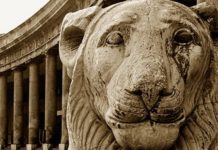 Napoli Grande Signora, un progetto fotografico di Augusto De Luca