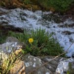 Poesia ed Acqua: essenza di Donna foto Flavio Brunetti