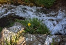 Poesia ed Acqua: essenza di Donna foto Flavio Brunetti