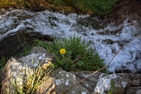 foto Flavio Brunetti