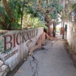 7 domande a Clarence Bicknell, un inglese che ha dato tantissimo alla Riviera ligure