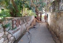 7 domande a Clarence Bicknell, un inglese che ha dato tantissimo alla Riviera ligure