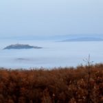 Le voci del bosco e la mezzanotte dell’anno. Un racconto di Flavio Brunetti.