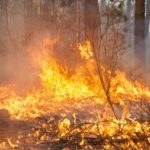 Clima: Acqua e fuoco sull’Europa.