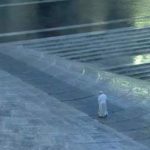 Marzo 2020: la Storia. Preghiera e benedizione speciale del Papa Urbi et Orbi.