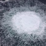 C’è un gran fiore, di Gabriele De Masi