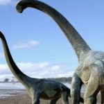 Il PD è arrivato alla sua soglia limite…e ora che si fa?