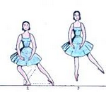 Quanti passi per fare un governo.