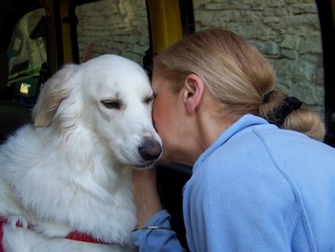 perdita di un animale