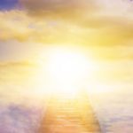 Luce e ombra, nella legge francese sul fine vita