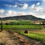 “La Via Francigena – Tanta Vita – A piedi da Milano a Roma” di Antonello Menne