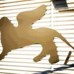 Venezia 76a – I film italiani presenti alla Mostra in tutte le sezioni recensione Altritaliani