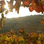 “Prima che pioggia”, l’Autunno nei versi di Gabriele De Masi.