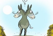 Il Partito Democratico e l’asino di Buridano impossibilità di scegliere