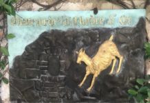 Da La Chèvre d’or à la chèvre. Un racconto di Eraldo Mussa.