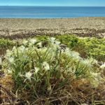 Un poème d’Erri de Luca: ‘Notre mer. Prière laïque’ – Lampedusa