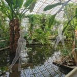 Expo de Daniela Capaccioli au Jardin des Serres d’Auteuil: sculptures en grillage Serres d'Auteuil Ville Paris