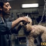 Cinema italiano. In Francia il successo di Cannes: Dogman, di Garrone. dogman di Matteo Garrone