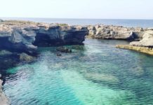 Favignana, di Michele Tortorici. Quella terra così terra, quel mare così mare. Michele Tortorici