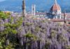 I fiori di Firenze visti dagli scrittori francesi della ‘Belle Epoque’