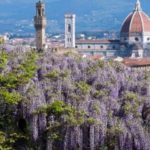 I fiori di Firenze visti dagli scrittori francesi della ‘Belle Epoque’