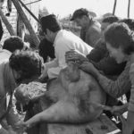 Il sacrificio del porco: un rituale di sangue, morte e vita il sacrificio del porco