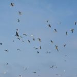 Le Frontiere sono infinite, e non son nulla