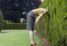 Lingua italiana. L’erba del vicino è sempre più verde… Altritaliani