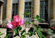 Agenda de l’Istituto italiano di Cultura di Parigi mai-juin 2026