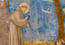 A 800 anni dalla morte. 7 domande a Francesco d’Assisi tra il serio e il semiserio.