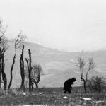 Campobasso, piccolo capoluogo di una piccola regione, il Molise. 1a.jpg