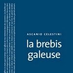 La Brebis galeuse d’Ascanio Celestini: l’ »ordinaire folie » de la consommation 220_____Brebis_59-2.jpg