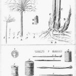 I Papiri Ercolanesi come fonti di autori antichi 367px-Tesoro_letterario_di_Ercolano_p20.jpg