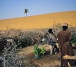 Madre terra, terra madre 49900c9991993_normal.jpg