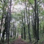 L’autunno per noi © Flavio Brunetti