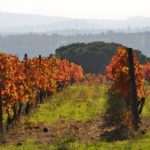 Poetare d’autunno: dal Vulture a Leonardo Sinisgalli e oltre © Patrizia Vaccaro