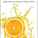 Il sole sorge a sud, un libro di Marina Valensise EDGT18495g.jpg