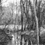 Rossella Frollà: Violaine, il suo libro di esordio poetico. Riflessi nel sottobosco - incisione di Livio Ceschin