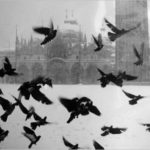 Lo sguardo sul mondo in bianco e nero di Gianni Berengo Gardin, a Venezia. Piazza San Marco, Venezia