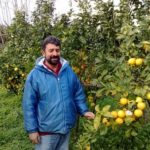 La bergamote de Reggio de Calabre, un précieux patrimoine botanique. Altritaliani