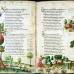 Leopardi e il tardo petrarchismo. L’amore, “Il pensiero dominante”. c-002-2.jpg