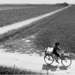 Il Delta del Po e il Polesine. Gli anni ’50 di Pietro Donzelli. La rielaborazione al pc di questa foto di Donzelli è a cura di Franco Sandri (A.I.R.F.)