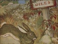 Velocità e lentezza, un binòmio. Come imparare a rispettare i tempi propri e altrui? felicialievre-tortue.jpg