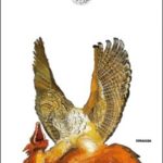 Franco Stelzer, L’ansito della mia sposa florabis978880615298GRA.jpg