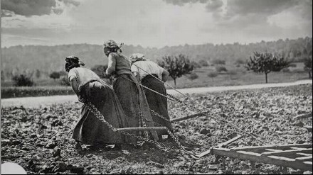 Contadine al lavoro nei campi durante la Grande Guerra