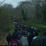 Venezia Cinema 74: Colpi di cuore della Mostra. human_20flow_20promo_20image.jpg