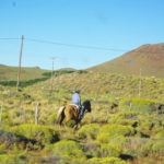 Viaggio nella Patagonia italo-argentina in_riserva-mapuche_a_cavallo-2.jpg