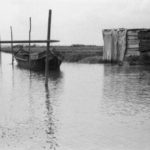 ‘Dove un’ombra sconsolata mi cerca’, un romanzo di Andrea Molesini